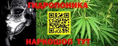 PSILOCYBIN Гай