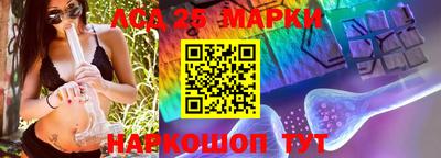 ПСИЛОЦИБИНОВЫЕ ГРИБЫ Гатчина
