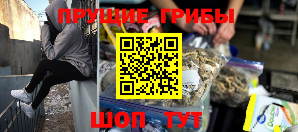 Псилоцибиновые грибы ЛСД Нижний Тагил