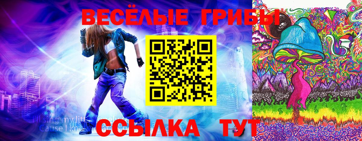 Псилоцибиновые грибы мицелий  Псилоцибиновые грибы прущие грибы  Вход с VPN  Нижний Тагил 